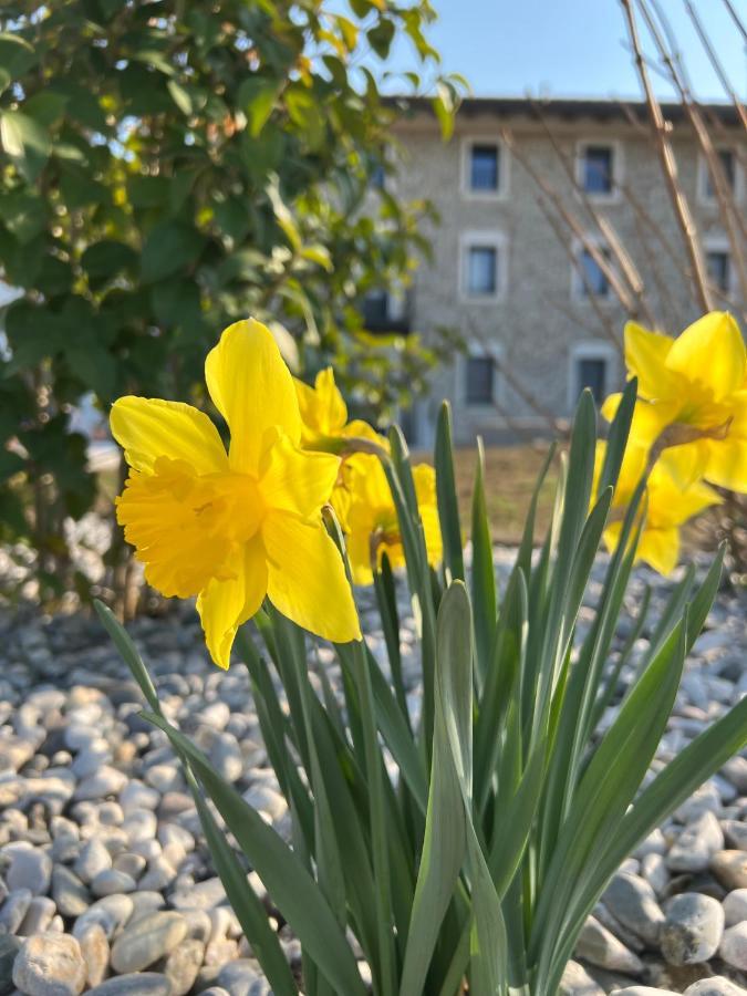 Atmosfere Charme & Country 호텔 Borgo San Mauro 외부 사진